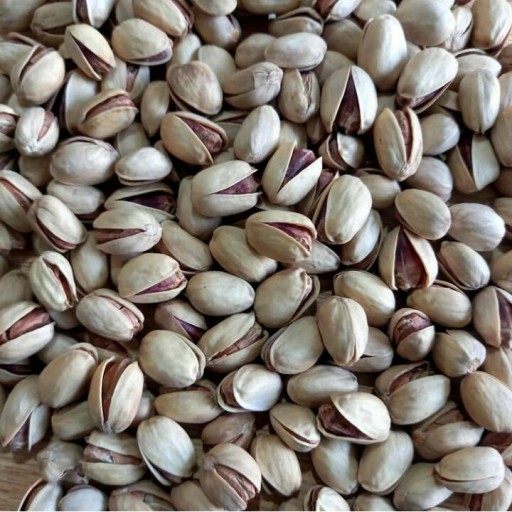 پسته کله قوچی مناسب تولید آجیل های سفارشی + قیمت و خرید عمده